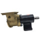 Extra Heavy-Duty - Bronze Impeller Pump F8B-3000- 10-13175-01 - Johnson Pump